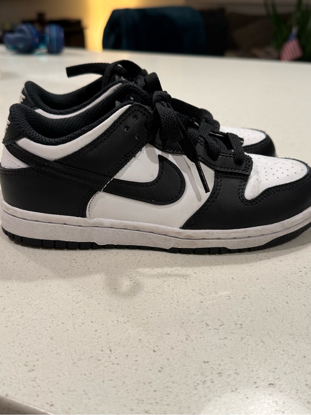 Nike Black and White Dunk Kids Low-Top Sneakers
